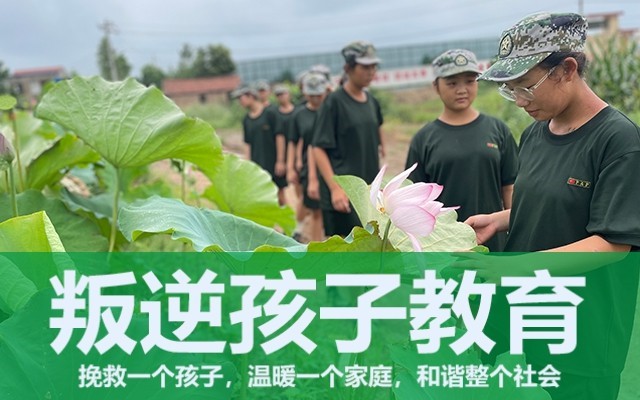 青少年管教学校(青少年管教学校哪家好)