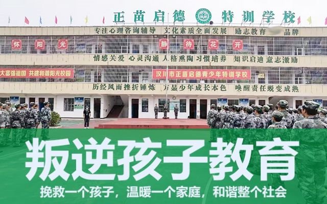 叛逆孩子励志学校(青少年叛逆的学校)(图1)