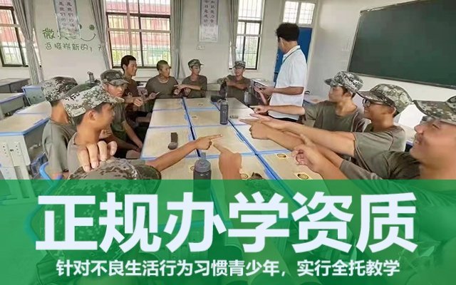 问题叛逆少年教育学校(叛逆少年素质教育)(图1)